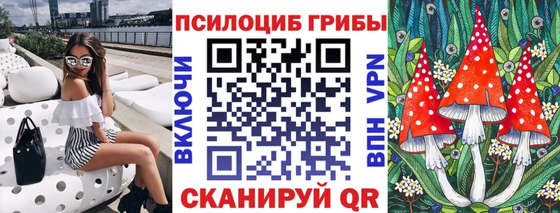 Галлюциногенные грибы MAGIC MUSHROOMS Купить Стародуб