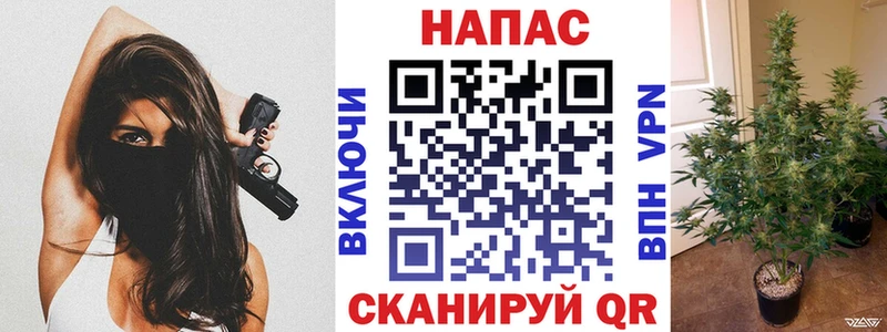 Канабис тримм  Купить закладки  Стародуб 